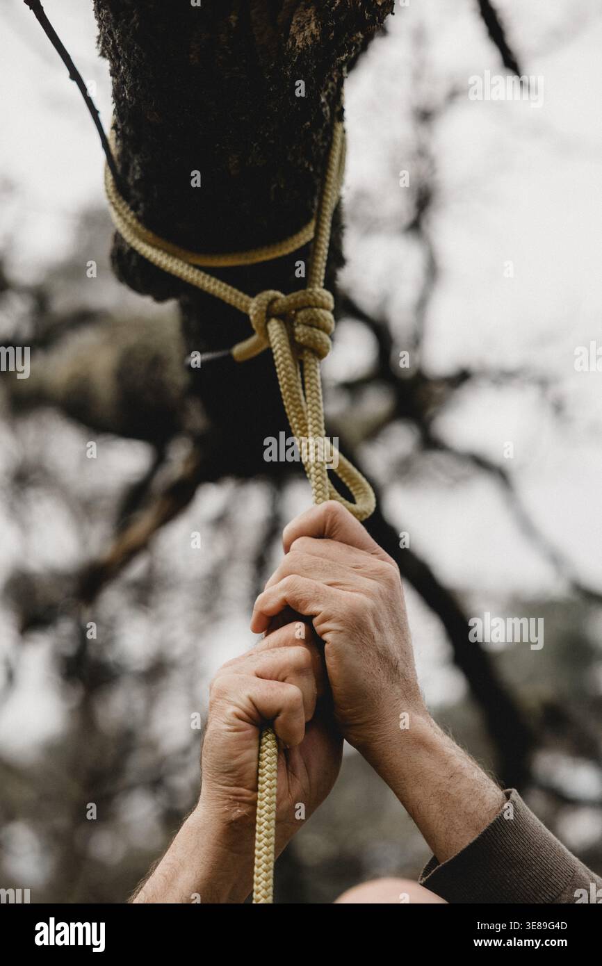 Mani che legano la corda intorno al ramo dell'albero all'aperto Foto Stock
