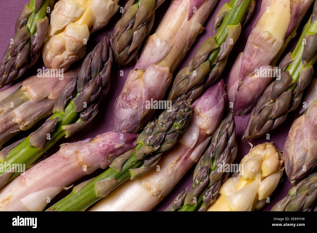 Gli asparagi freschi sono disposti su una superficie viola testurizzata. Foto Stock