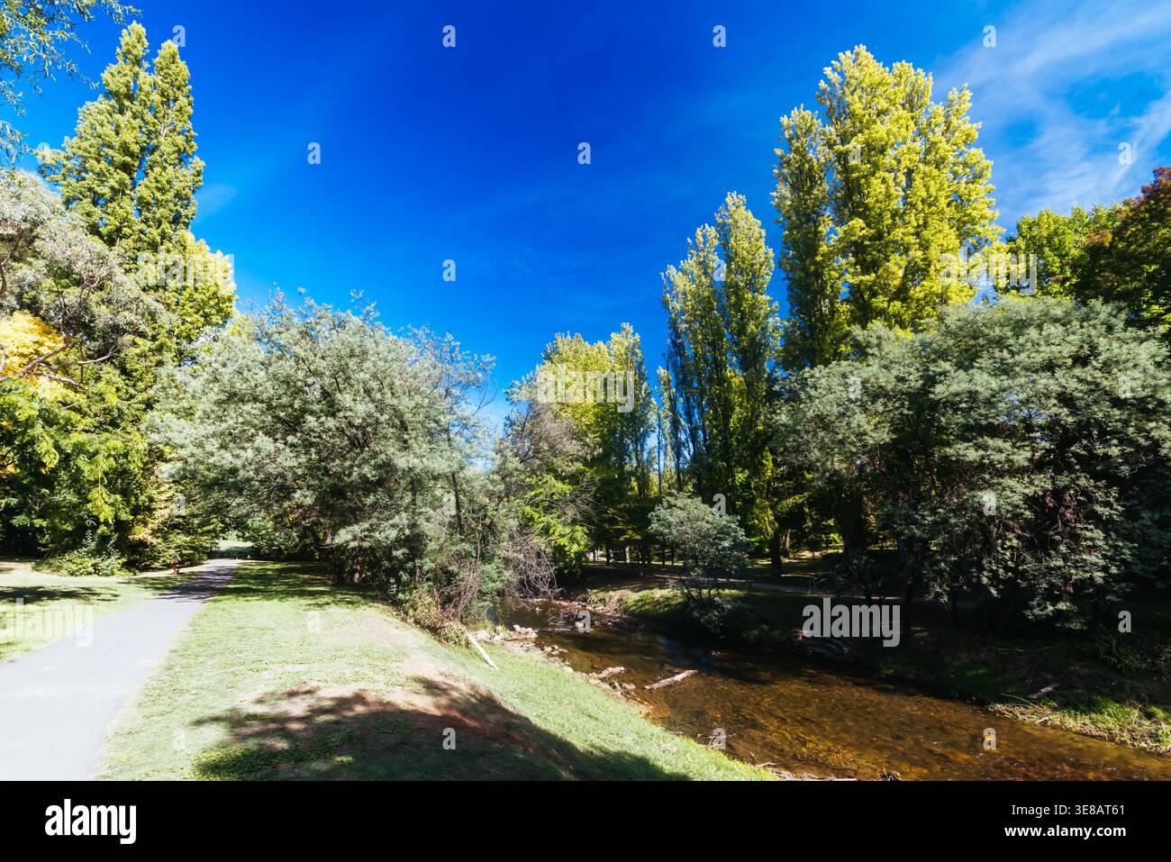 Passeggiata nel Bright Canyon in Australia Foto Stock