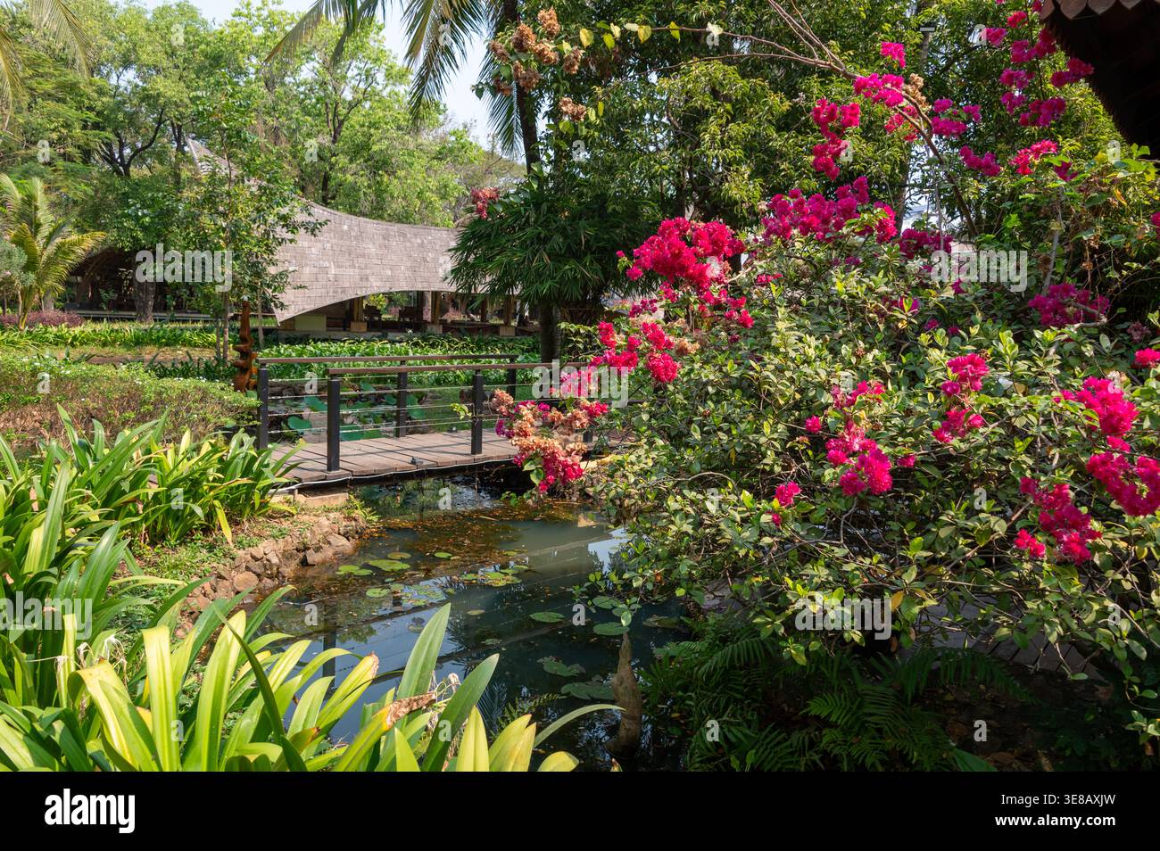 Un giardino tropicale nel parco del progetto Satcha a Siem Reap in Cambogia. Il progetto Satcha è il primo centro di incubazione dell'artigianato Khmer Foto Stock