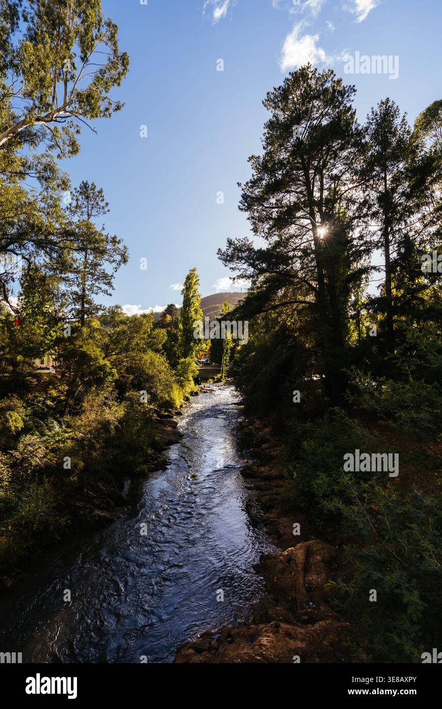 Passeggiata nel Bright Canyon in Australia Foto Stock