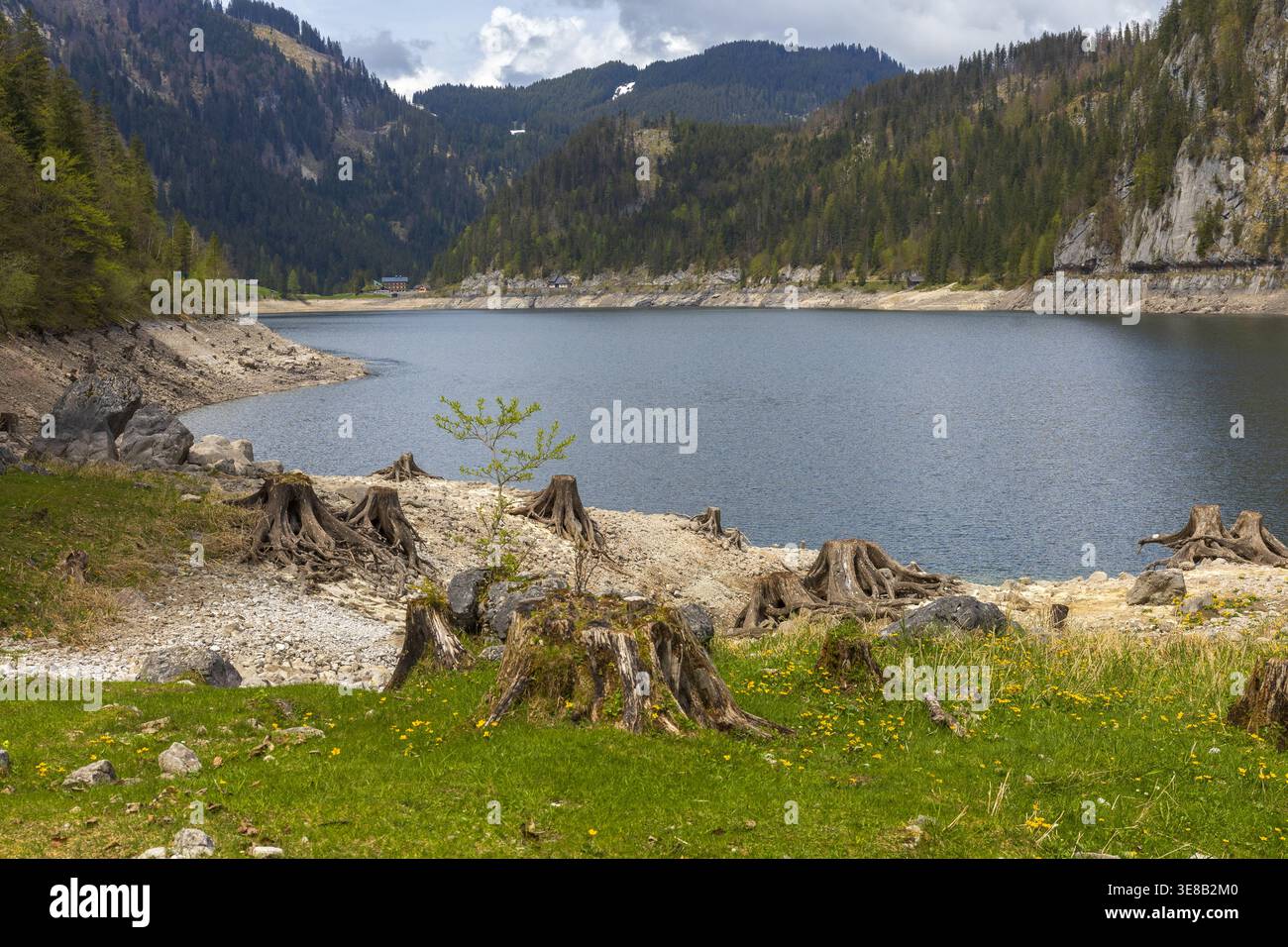 Lago di montagna con ceppi di alberi visibili e paesaggio alpino in Austria. Foto Stock