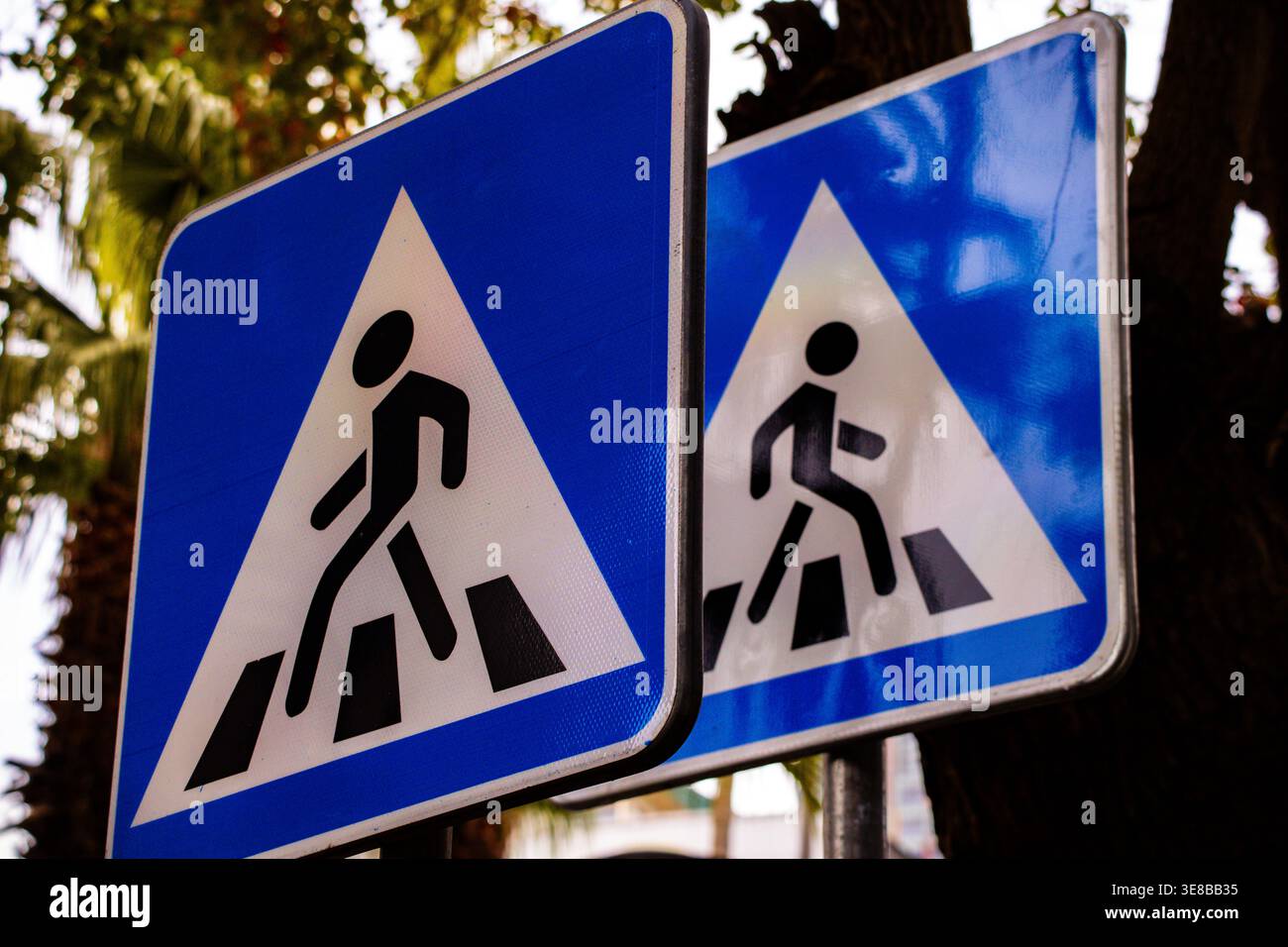 Due segnali di attraversamento pedonale su strada urbana con sfondo blu e icona di camminata. Simboli del traffico che indicano l'attraversamento sicuro delle zebre e la navigazione su strada Foto Stock