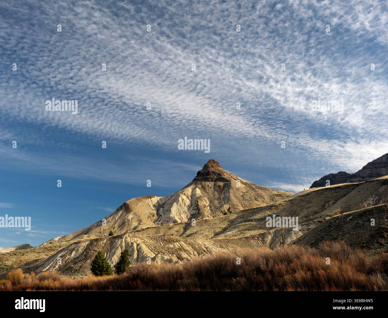 OR03017-00...OREGON - Sheep Rock nel Sheep Rock Unit of John Day Fossil Beds National Monument. La Sheep Rock Unit Foto Stock