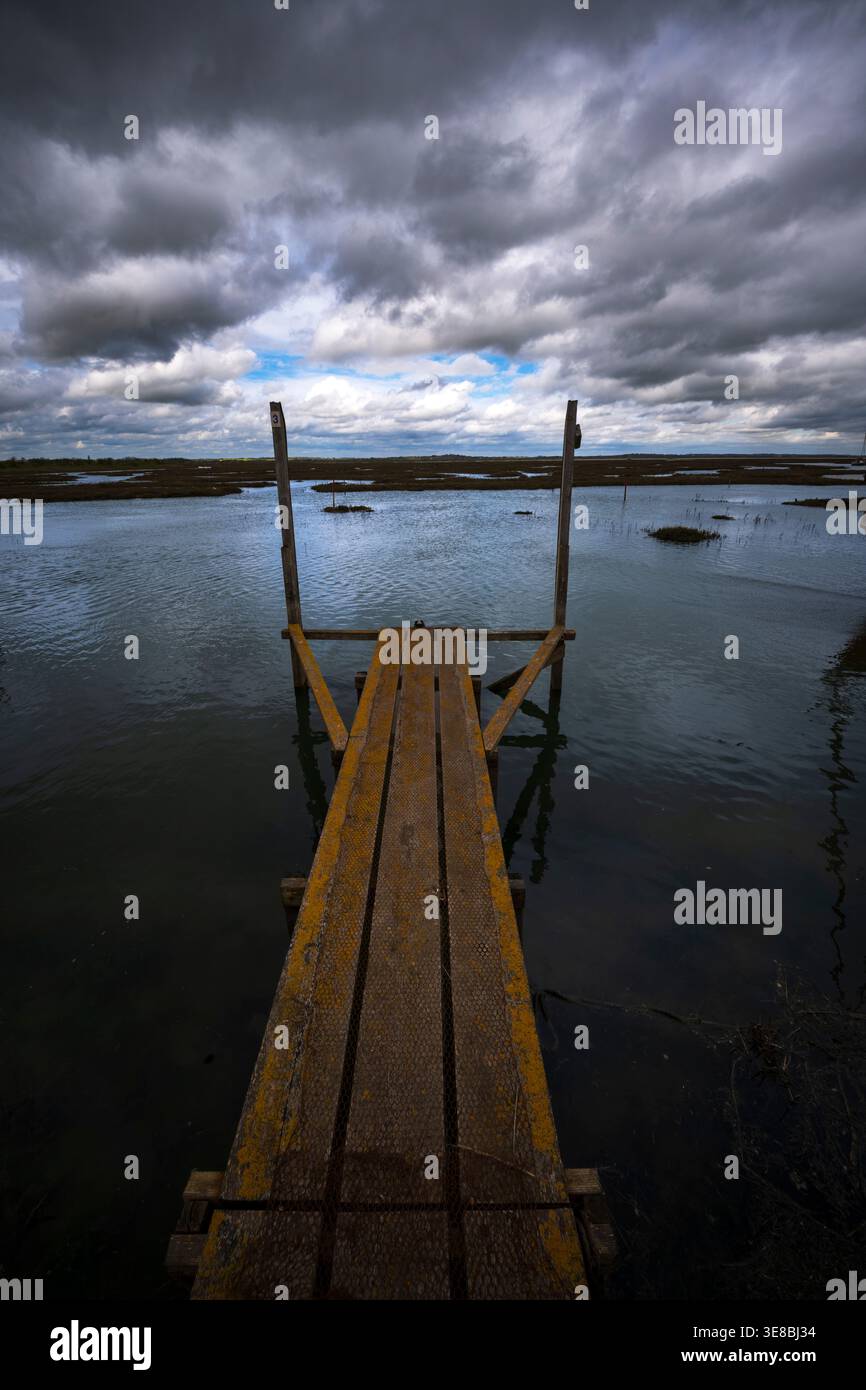 Rusty si dirige verso la palude di sale nell'Essex Foto Stock