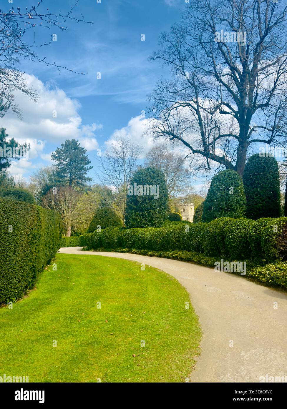 Percorso curvo attraverso giardini paesaggistici con siepi e alberi ben curati sotto il cielo blu nella campagna inglese. Foto Stock