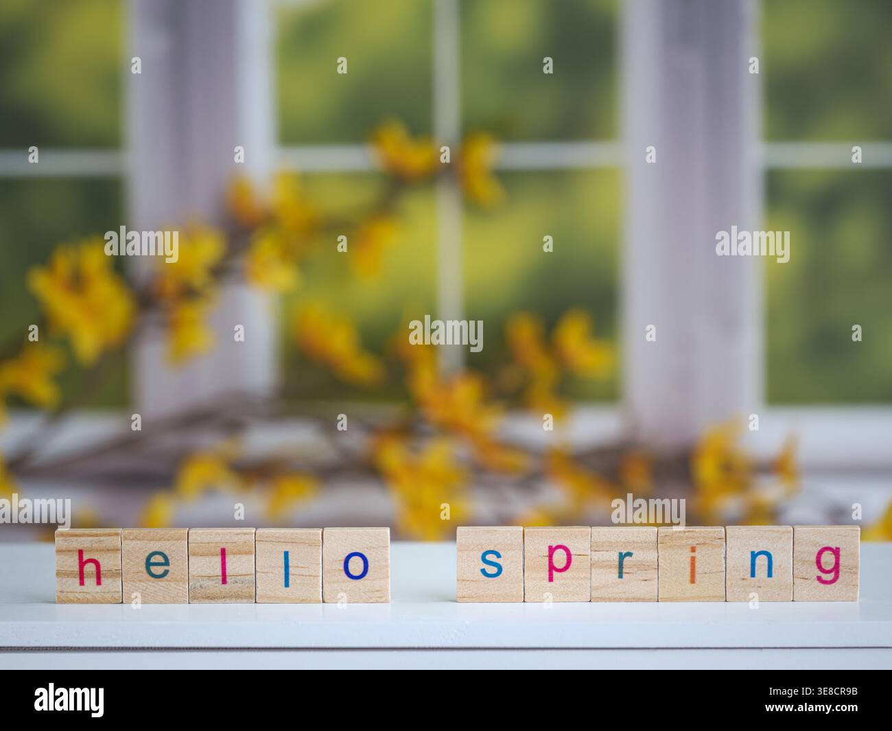 Piastrelle in legno con testo PRIMAVERILE HELLO con rami di forsythia colorati di primavera e fiori con sfondo finestra giardino Foto Stock