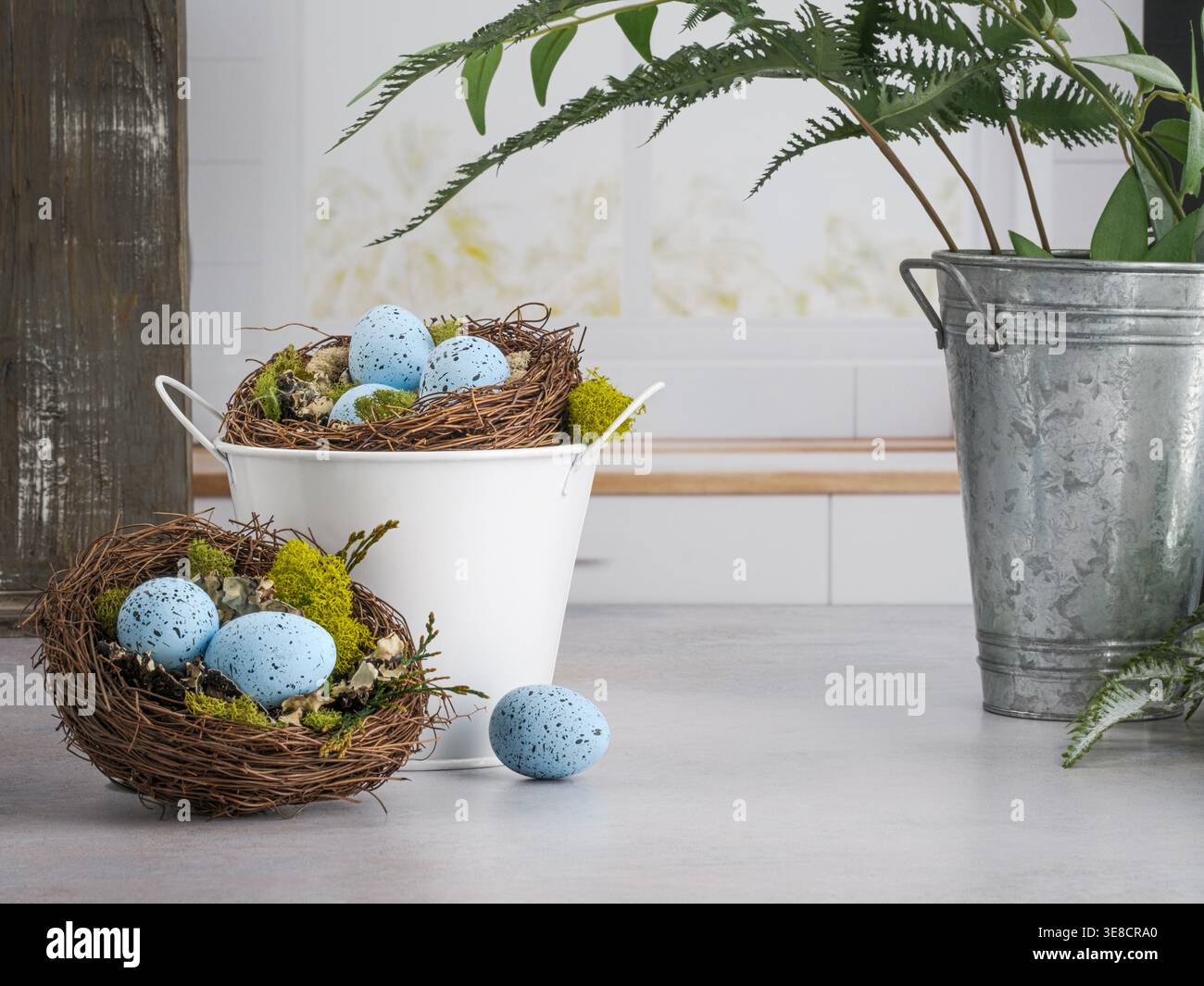 Cucina tranquilla e luminosa con secchiello bianco della fattoria e nido naturale di robin primaverile con uova macchiate blu. Secchio metallico di stagno e felci verdi Foto Stock