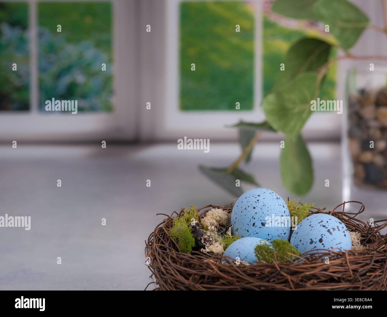 Primo piano del nido di robin primaverile con uova macchiate blu sul bancone di cemento. Vaso di vetro con ciottoli di fiume e vegetazione. Finestra giardino con piano grigio Foto Stock