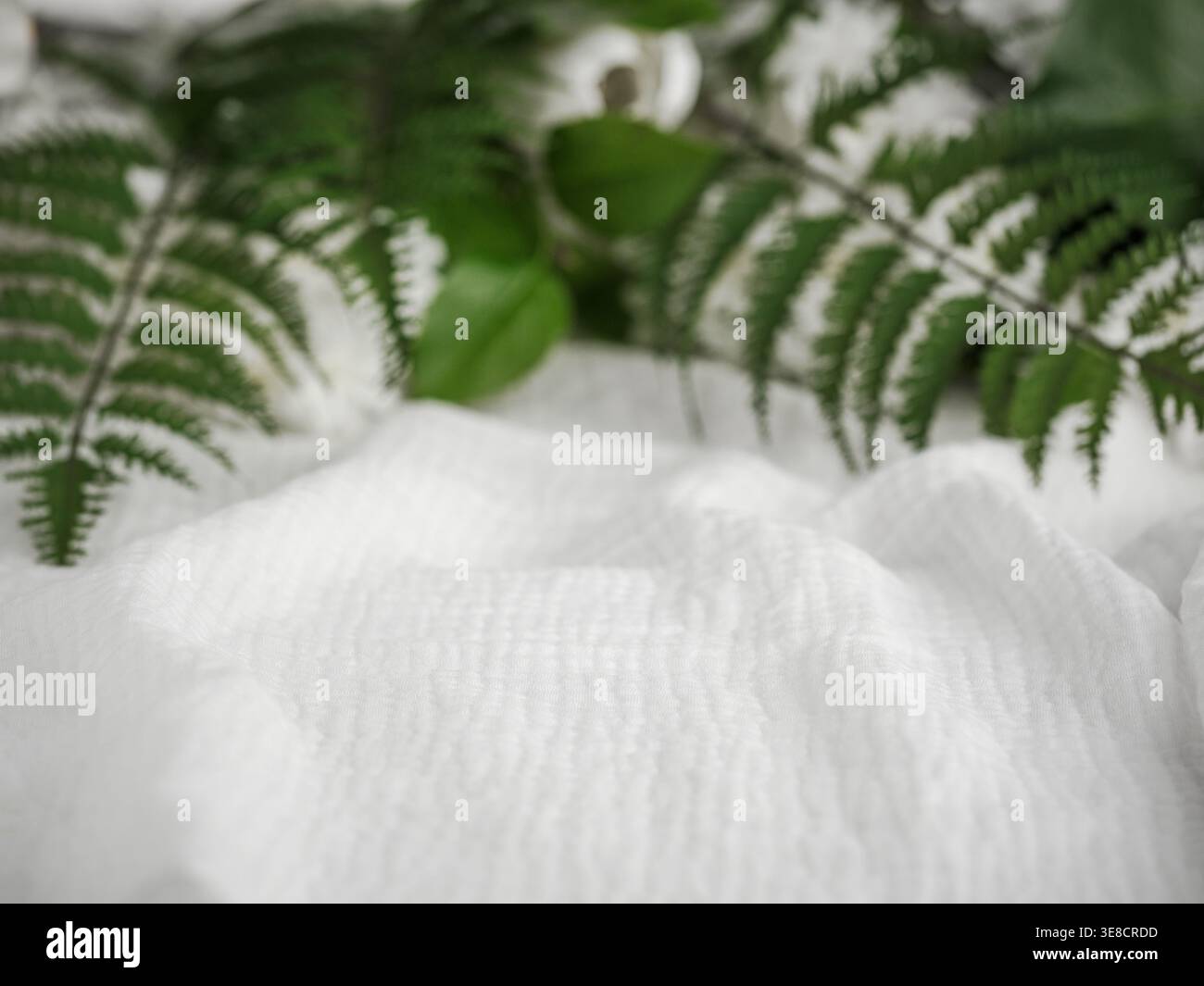 Sfondo verde e fiori sfocati bianchi su tessuto mussolano bianco Foto Stock
