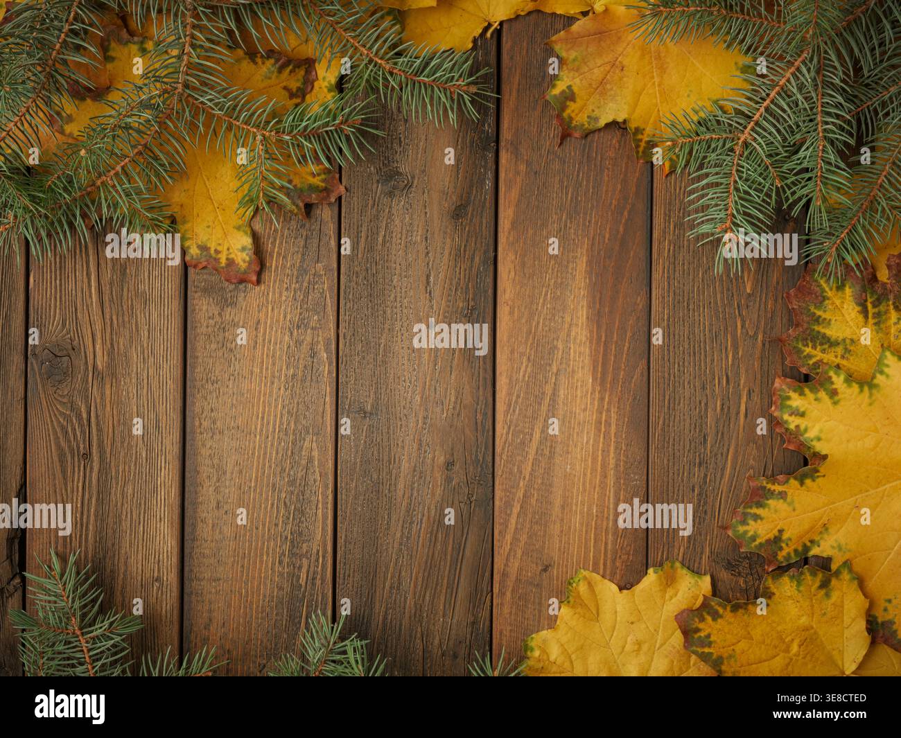 Foglie d'acero giallo oro su tavola in legno rustico marrone. Flatlay in autunno stagionale Foto Stock