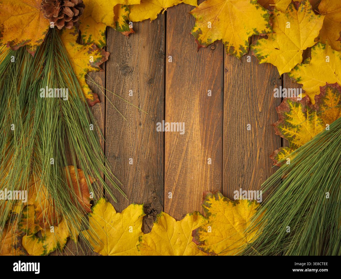 Foglie d'acero giallo oro su tavola in legno rustico marrone. Flatlay in autunno stagionale Foto Stock