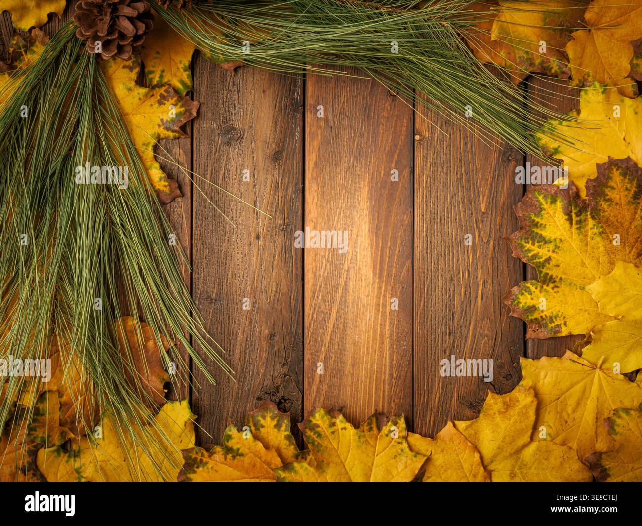 Foglie d'acero giallo oro su tavola in legno rustico marrone. Flatlay in autunno stagionale Foto Stock