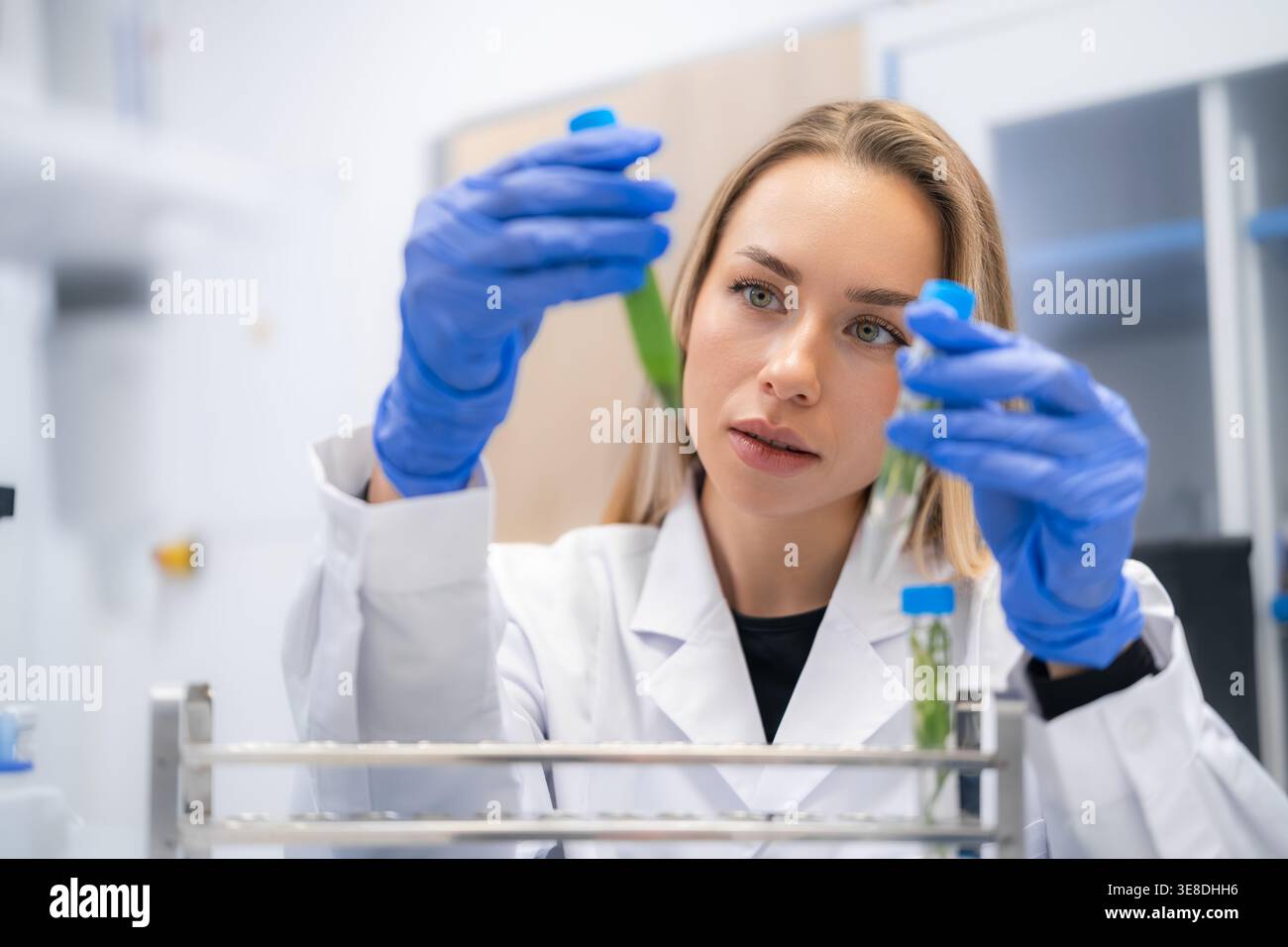 Un tecnico esamina i campioni di piante verdi contenuti nelle provette di prova presso una postazione di lavoro di laboratorio ben attrezzata. Foto Stock