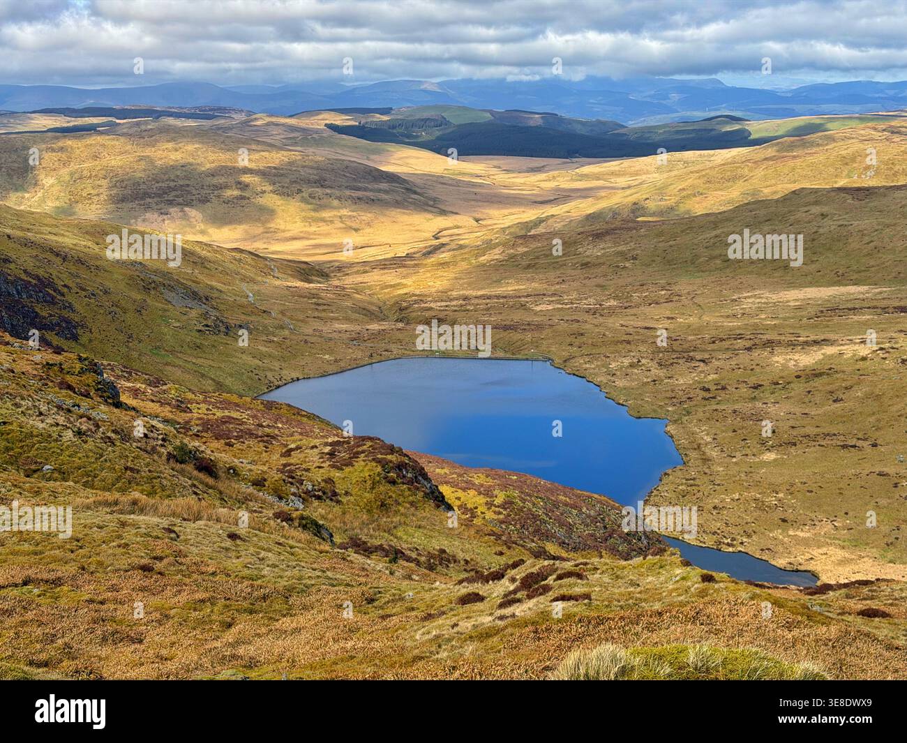 Llyn Llygad Rheidol, sorgente dell'Afon Rheidol, montagne del Cambriano, Galles, Regno Unito Foto Stock