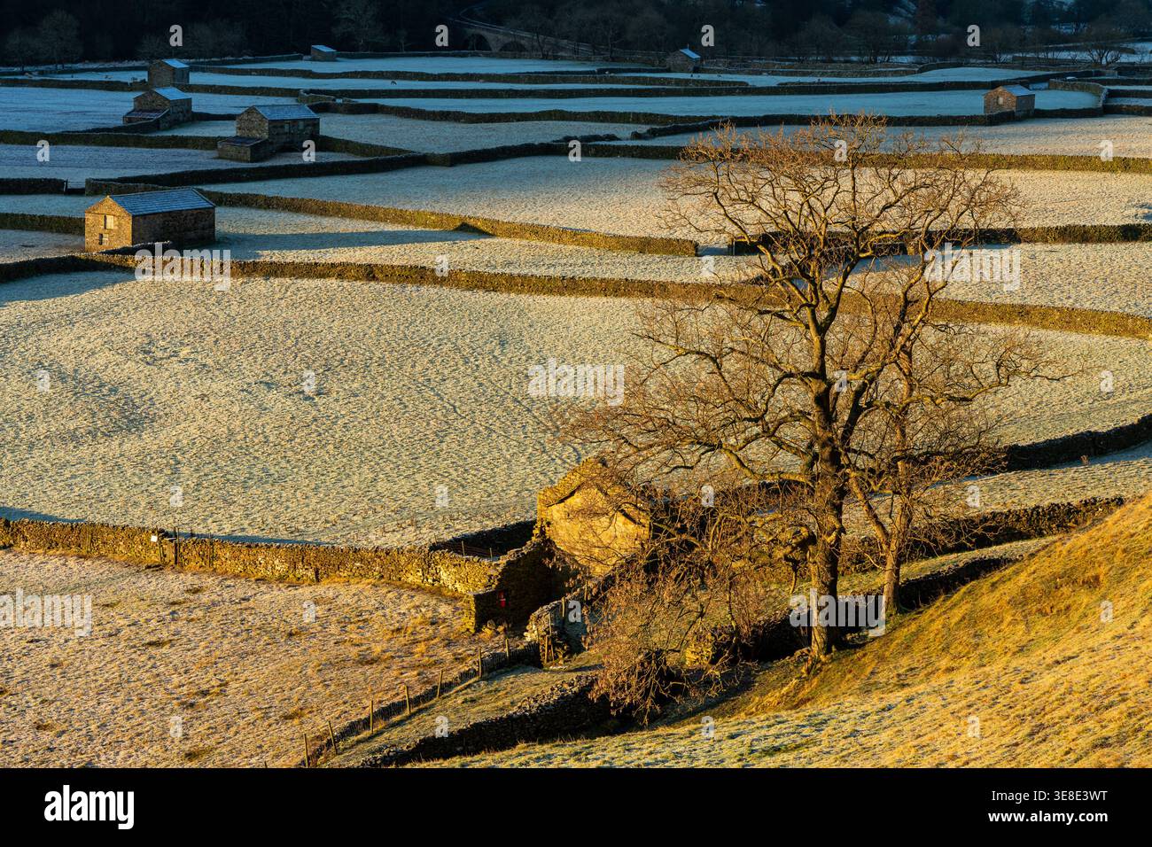 Il sole invernale illumina i campi ricoperti di gelo e i fienili di pietra divisi da muretti a secco Foto Stock