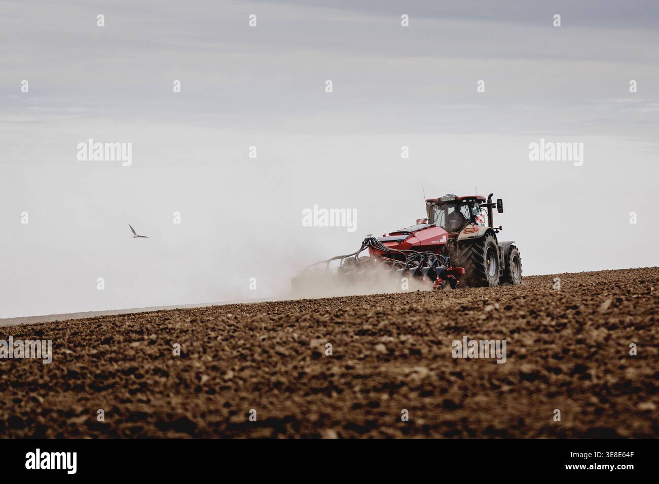 Ein Traktor mit einer Einzelkornsaemaschine, aufgenommen in Diehsa, 10.04.2026. Diehsa Deutschland *** Un trattore con seminatrice monograno Foto Stock