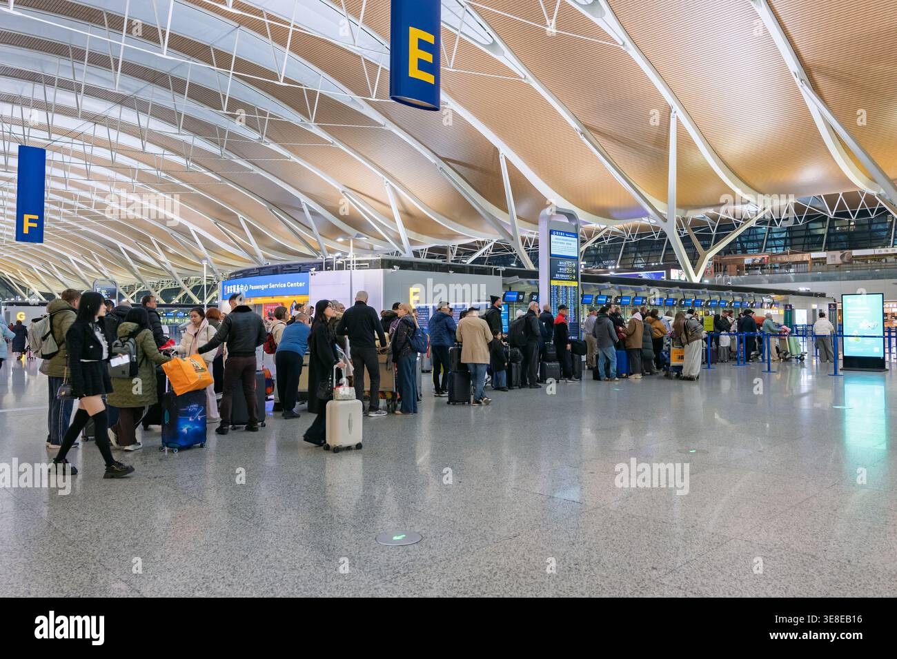 Shanghai, Cina - 11 dicembre 2025: I passeggeri aspettano in coda ai banchi di check-in dell'aeroporto internazionale di Pudong Foto Stock