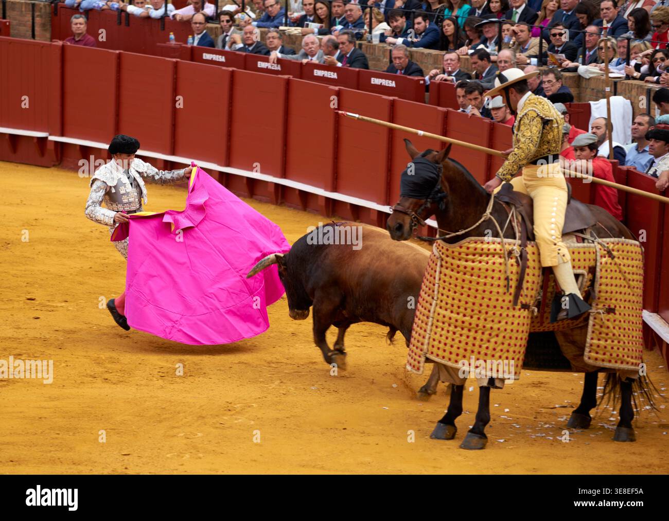 Un toro è sfidato da un matador in un'arena di Siviglia. La folla guarda mentre la lotta si svolge di fronte a loro. Foto Stock