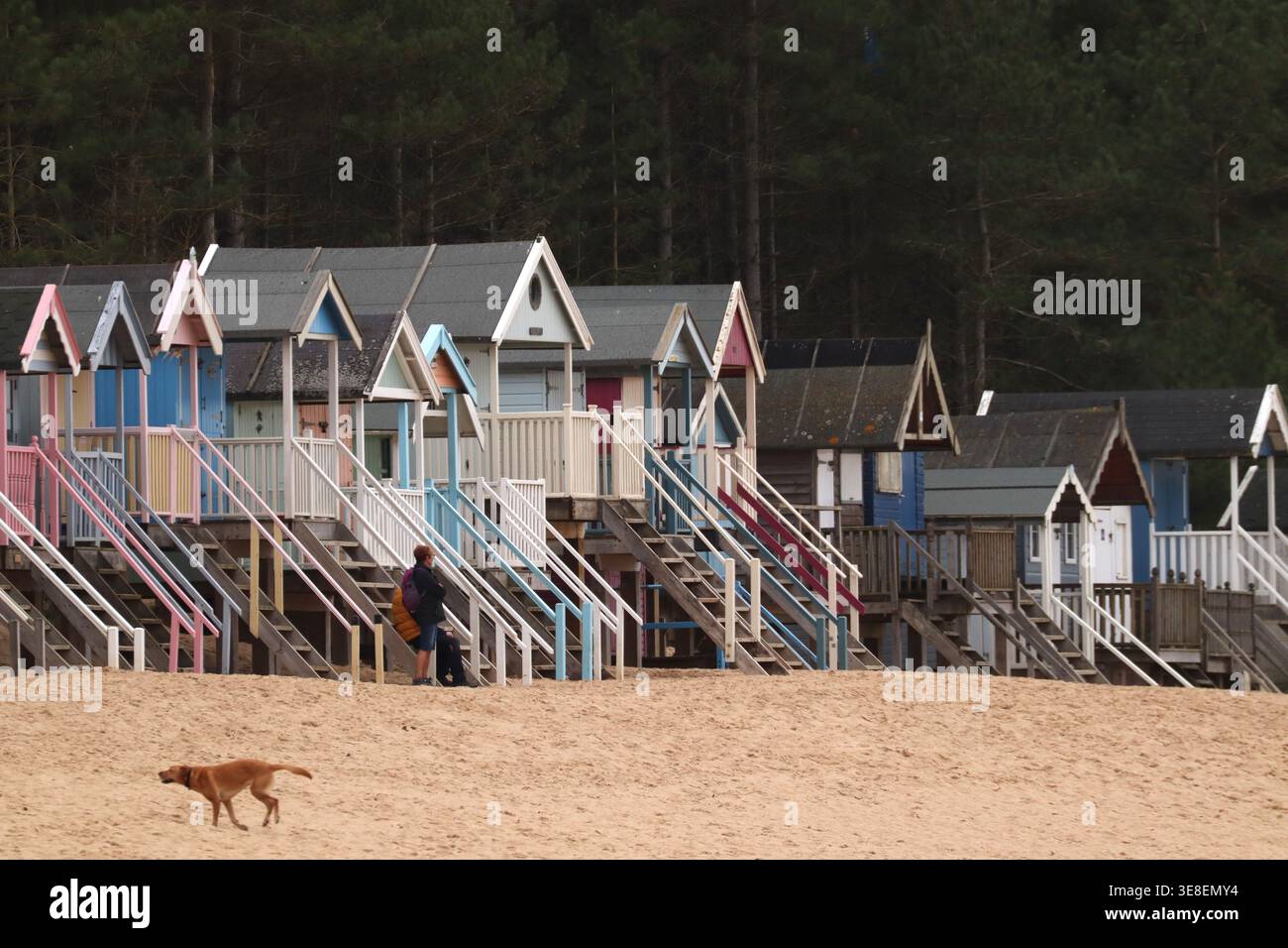 Una vista delle capanne sulla spiaggia di Wells-NEXT-the-Sea a Norfolk, Regno Unito Foto Stock