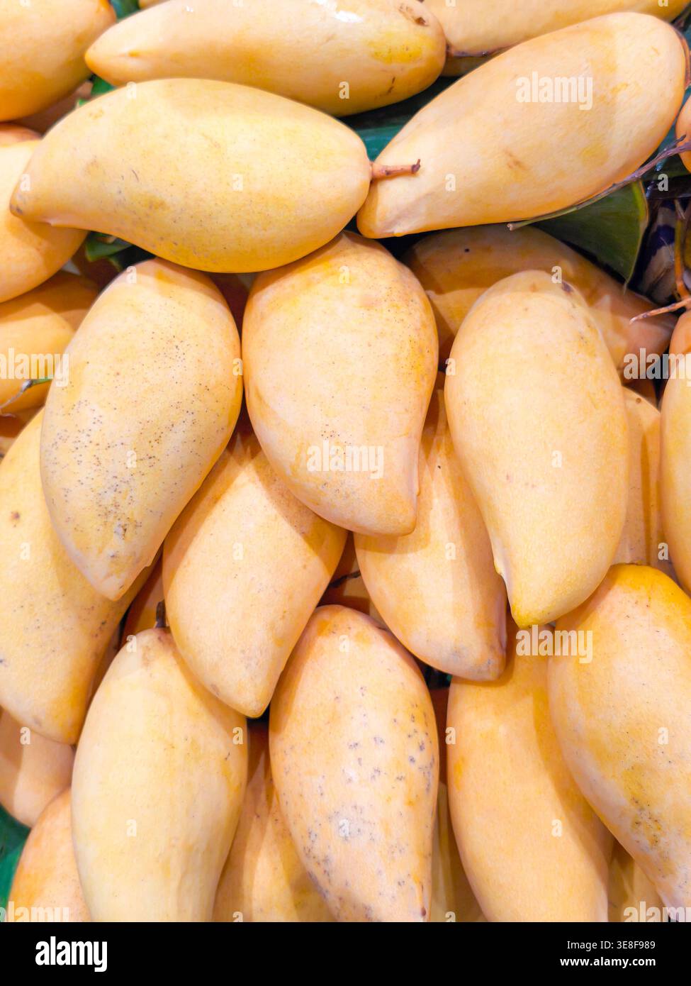 mucchio di manghi gialli maturi freschi, con pelle dorata liscia e texture organica. Perfetto per sfondi di cibo sano, temi di frutta tropicale, e. Foto Stock