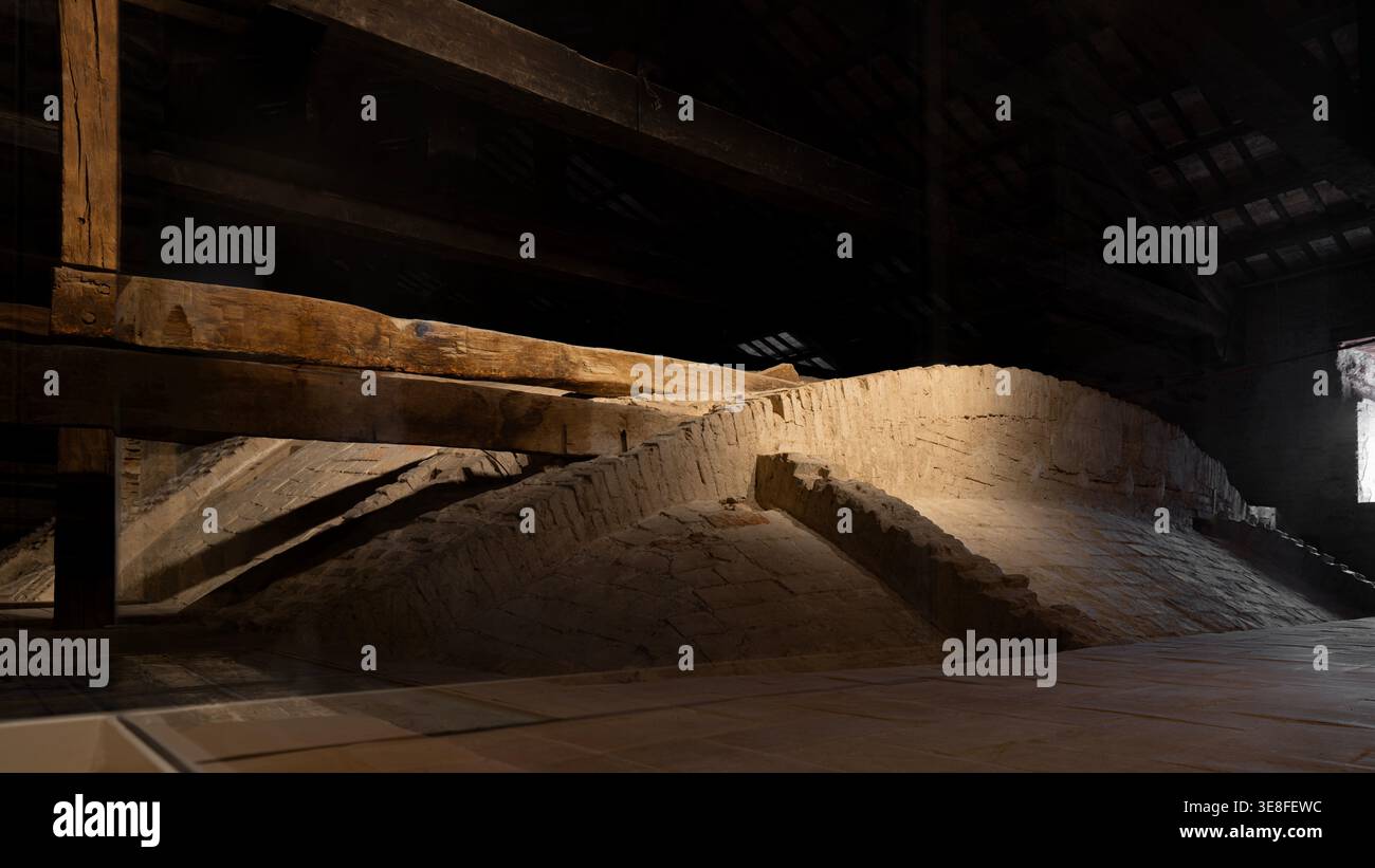 Volta a costola della sala del Trono (attico), Palazzo Ducale (Palazzo Ducale). Urbino, Marche, Italia Foto Stock
