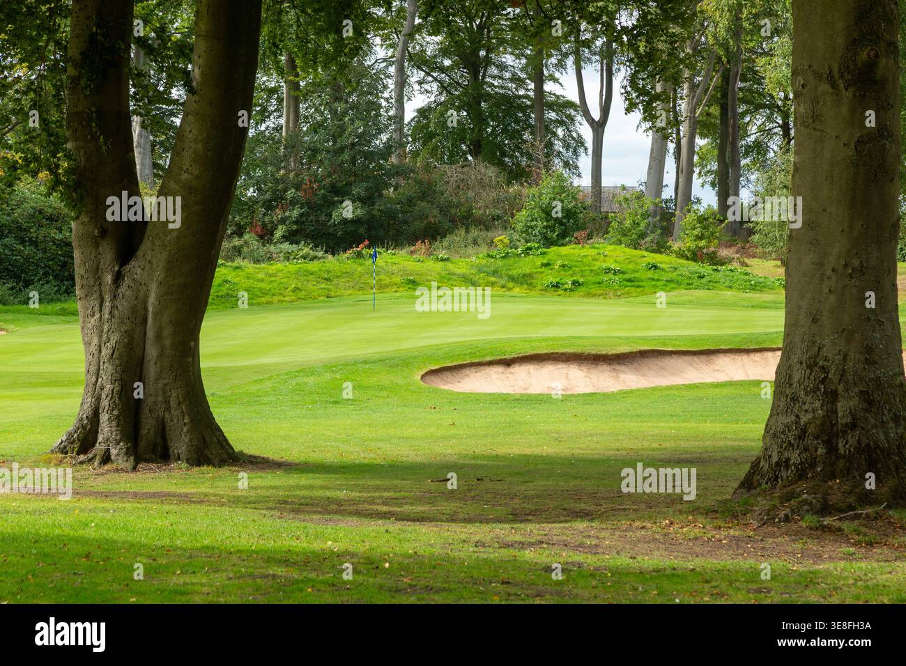 Un campo da golf al Dunham Forest Golf & Country Club Foto Stock