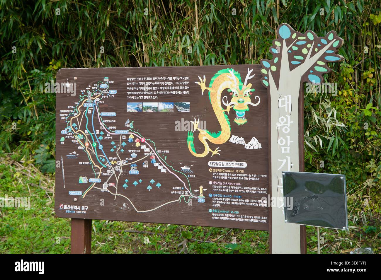 Una mappa illustrata dei sentieri si trova accanto al bambù nel parco Daewangam a Ulsan, che mostra sentieri, monumenti e grafica di draghi vicino a un ingresso pedonale. Foto Stock