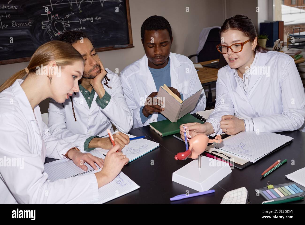 Diversi studenti di medicina che esaminano anatomia riproduttiva per Exam Prep Foto Stock