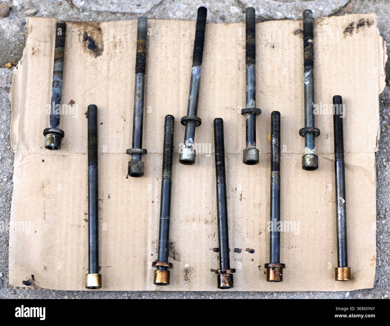 Dieci bulloni della testata in acciaio disposti su cartone, che mostrano le teste Torx, le estremità filettate e i leggeri residui di olio derivanti dall'uso e dalla manutenzione del motore. 2026 Foto Stock