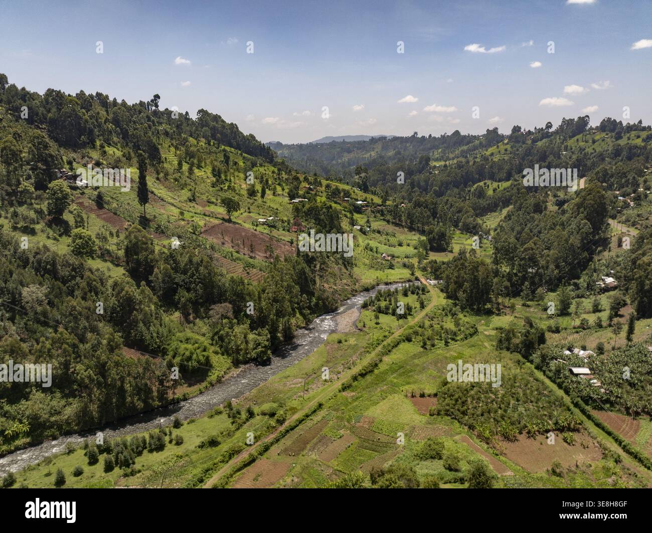 Vista aerea di una valle verdeggiante scolpita da un fiume tortuoso, dove i campi coltivati incontrano fitte foreste sotto un vasto cielo, Nyeri, Nyeri, Kenya. Foto Stock