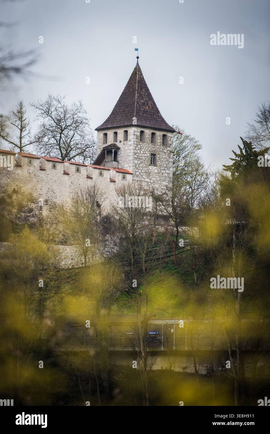 Vista di una torre medievale con un tetto conico che si innalza sopra le mura di pietra, addolcita dal primo piano sfocato di vibranti fiori gialli, Neuhausen am RhE Foto Stock