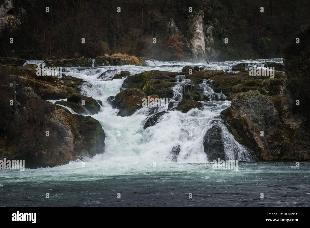 Vista delle potenti Cascate del Reno che si innalzano su rocce coperte di muschio, creando una spettacolare dimostrazione della forza della natura, Neuhausen am Rheinfall, Svizzera Foto Stock