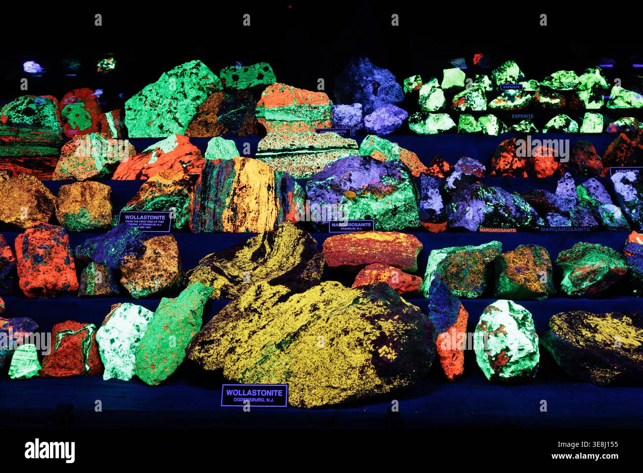 I minerali fluorescenti brillano sotto la luce ultravioletta al Franklin Mineral Museum di Franklin, New Jersey Foto Stock