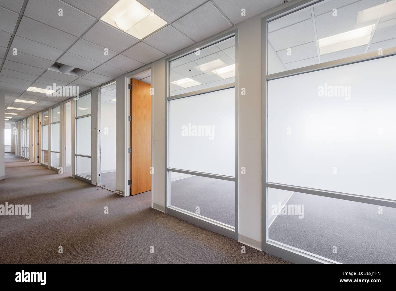 Spazio libero per uffici commerciali con pareti in vetro e pannelli smerigliati a Fort Lee, New Jersey, Stati Uniti Foto Stock