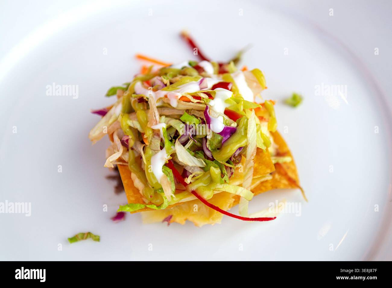 Tostada messicana fusion dell'autore con tortilla croccante, cavolo di cavolo, cipolla sottaceto, salsa gialla e contorno alle erbe su piatto bianco nel ristorante messicano Foto Stock