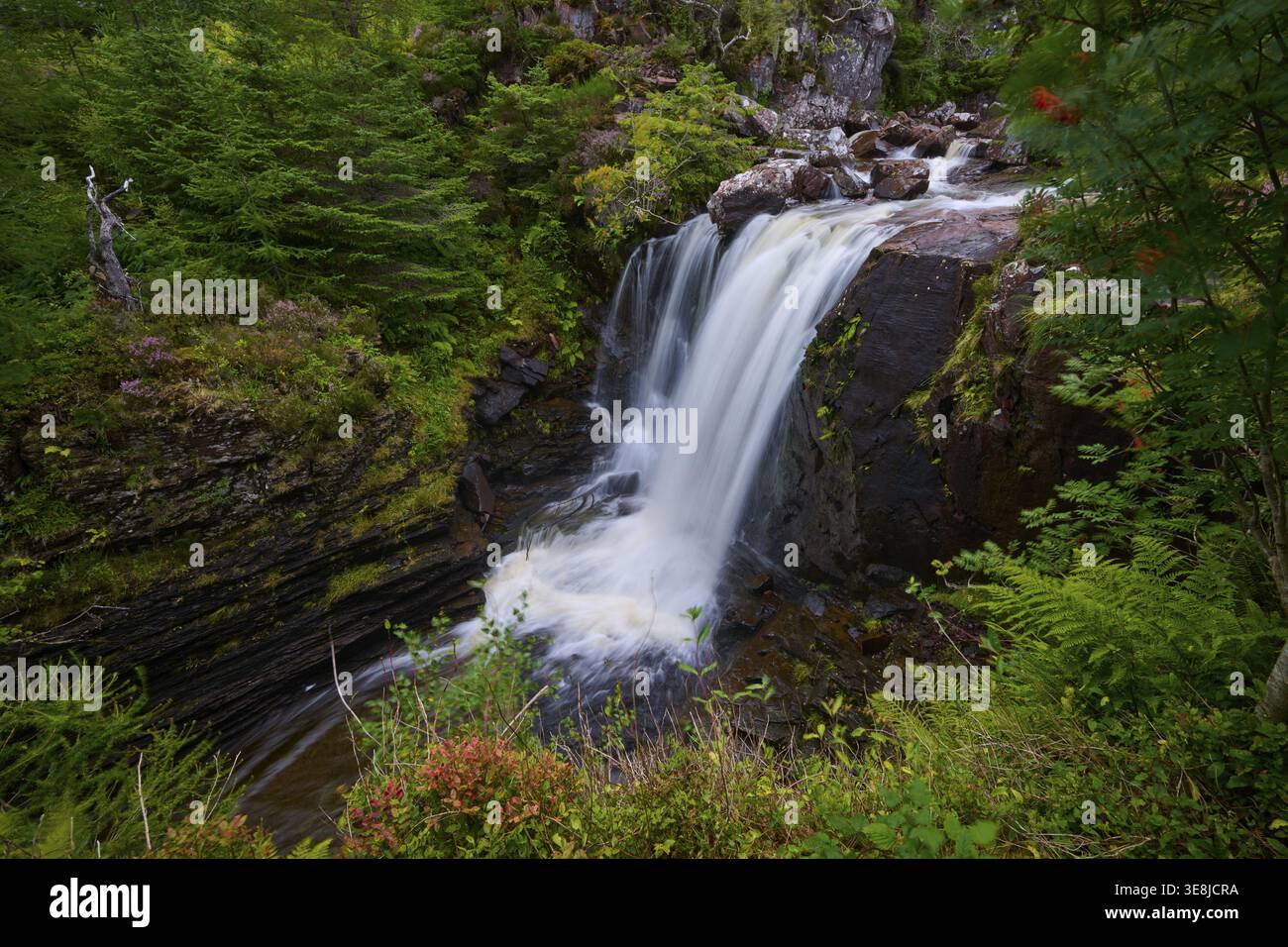 La cascata scorre sulle rocce nel mezzo di una foresta lussureggiante, le cascate Victoria Falls, Slattadale, Achnasheen, Scozia, Regno Unito, Regno Unito Foto Stock