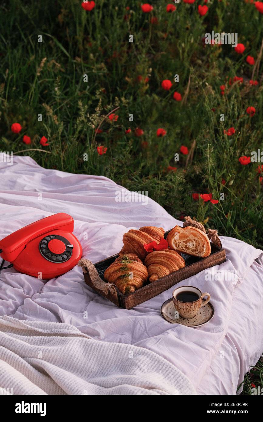 Caldo ambiente estivo mattutino. Campagna soleggiata con telefono classico e colazione Foto Stock