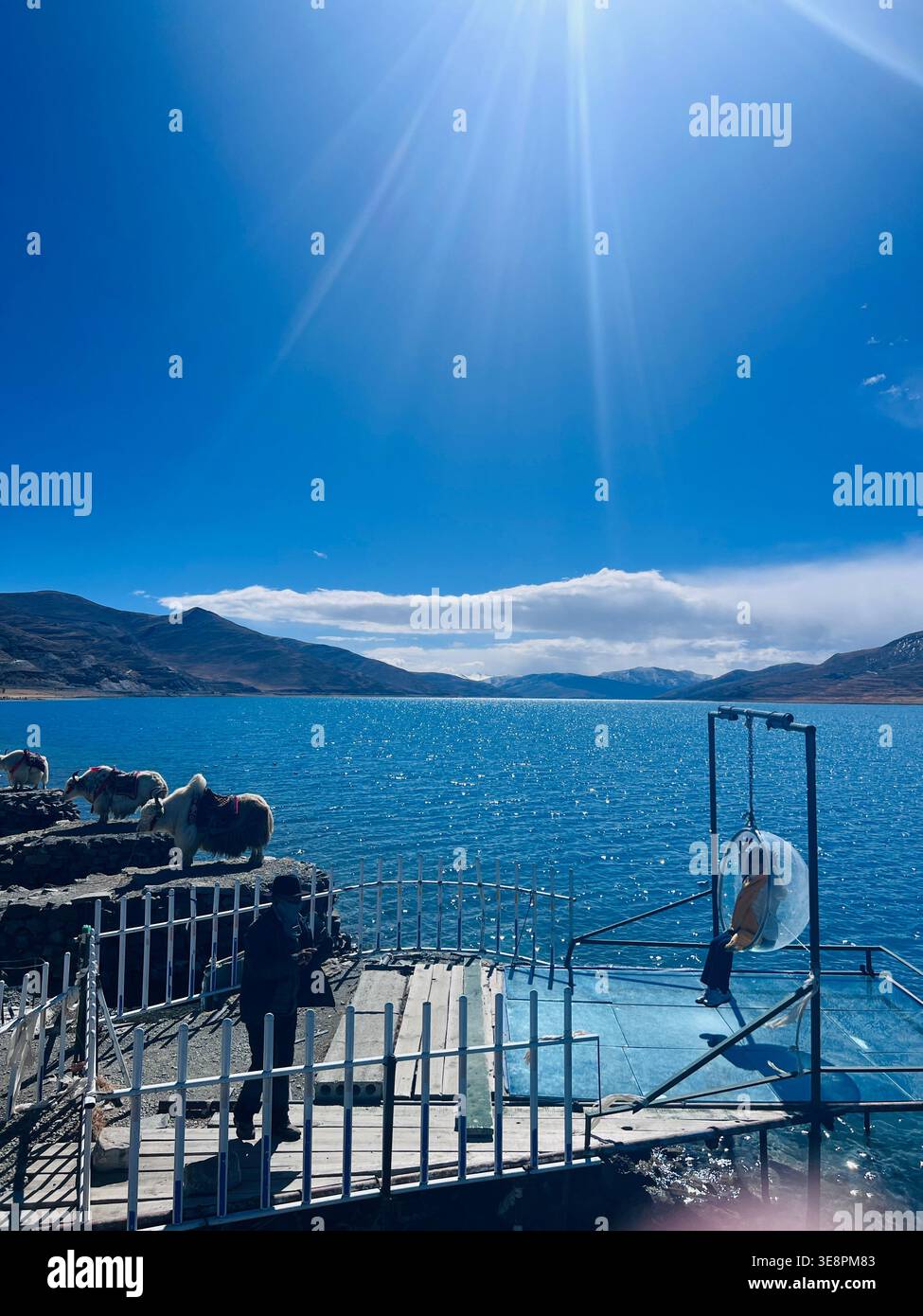 Turisti e Yaks presso la piattaforma panoramica del lago Yamdrok, Tibet - Immagine stock catturata con smartphone