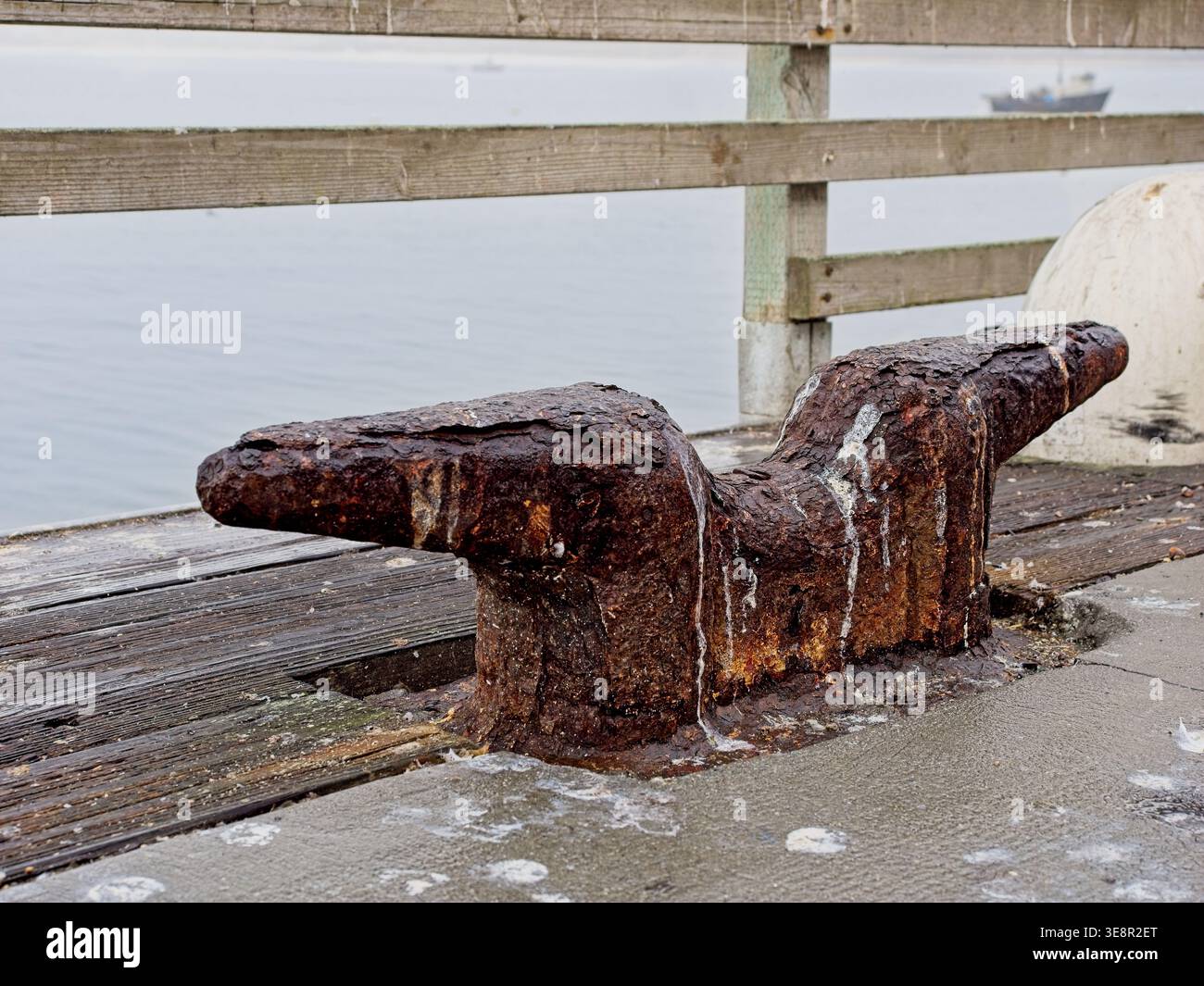 Scarpa Rusty tee Head sul molo di pesca Foto Stock