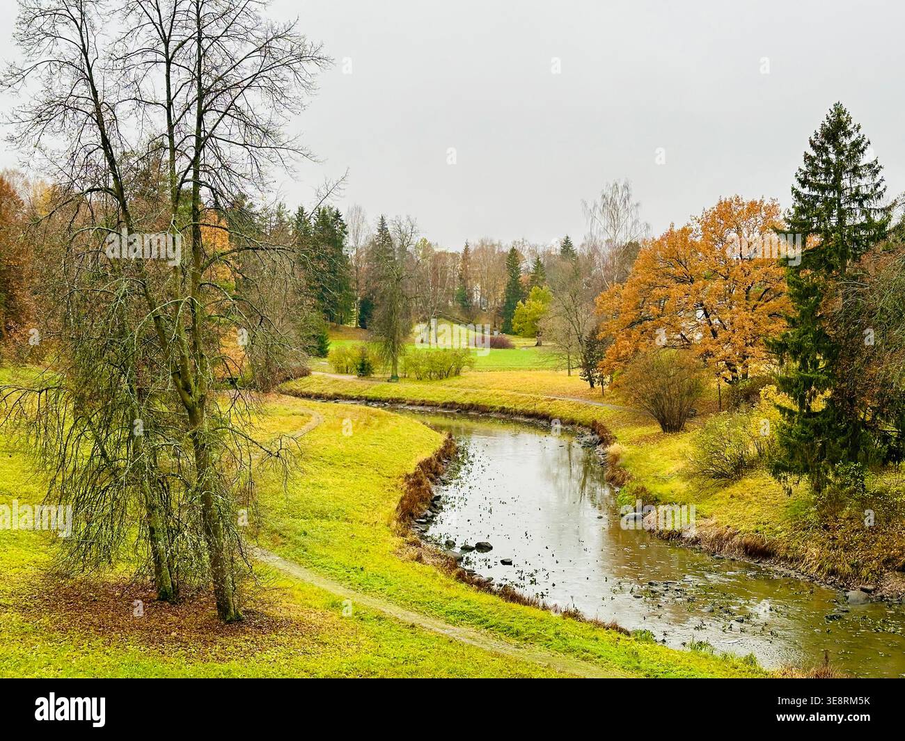 Un parco paesaggistico con un torrente/fiume serpeggiante, dolci colline, colori autunnali e alberi decidui e conifere. - Immagine stock catturata con smartphone