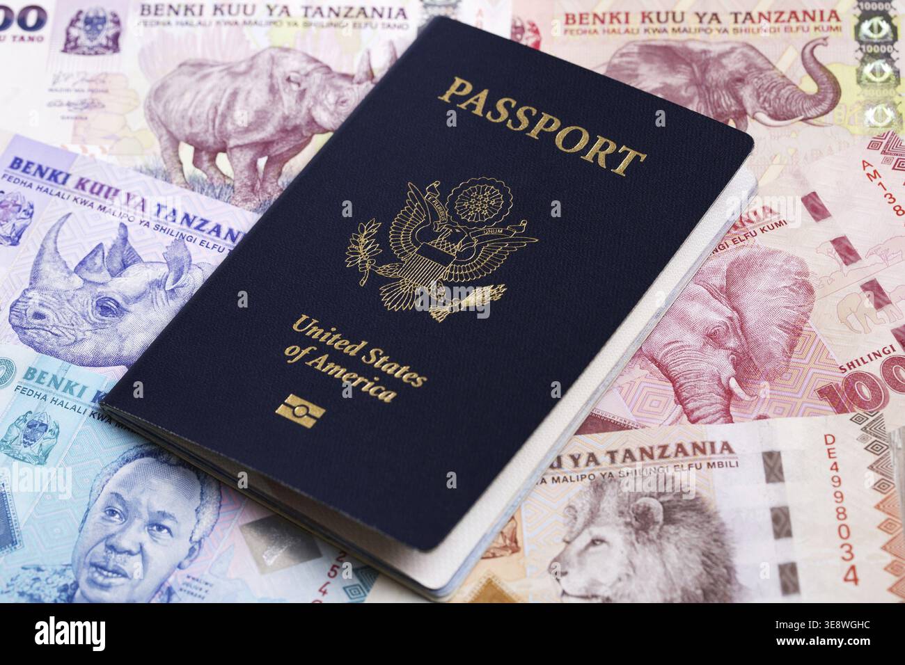 Passaporto americano sul denaro tanzaniano - Shilling Foto Stock