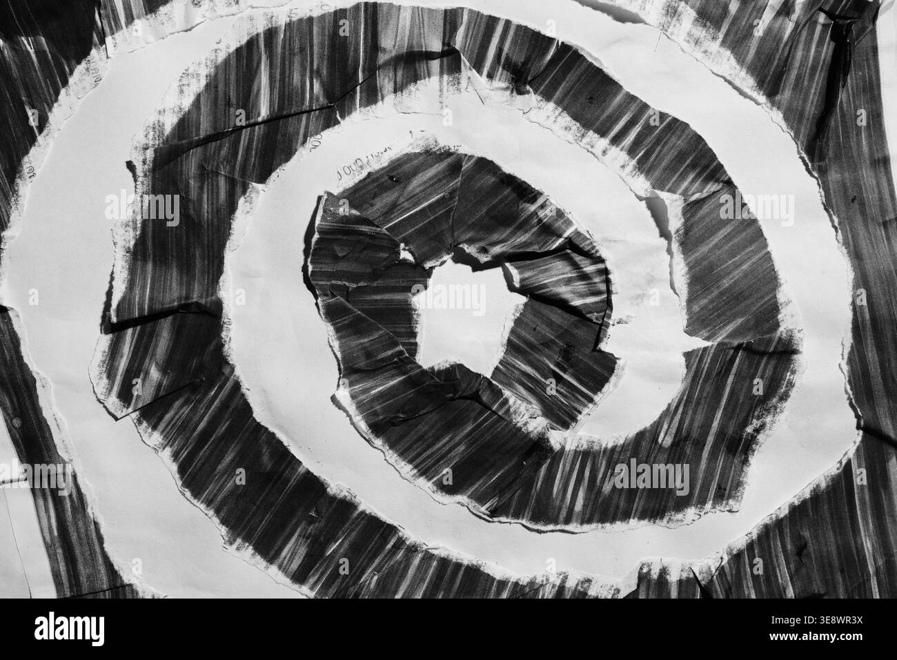 Vista macro della spirale della carta strappata in bianco e nero con grana grintosa Foto Stock