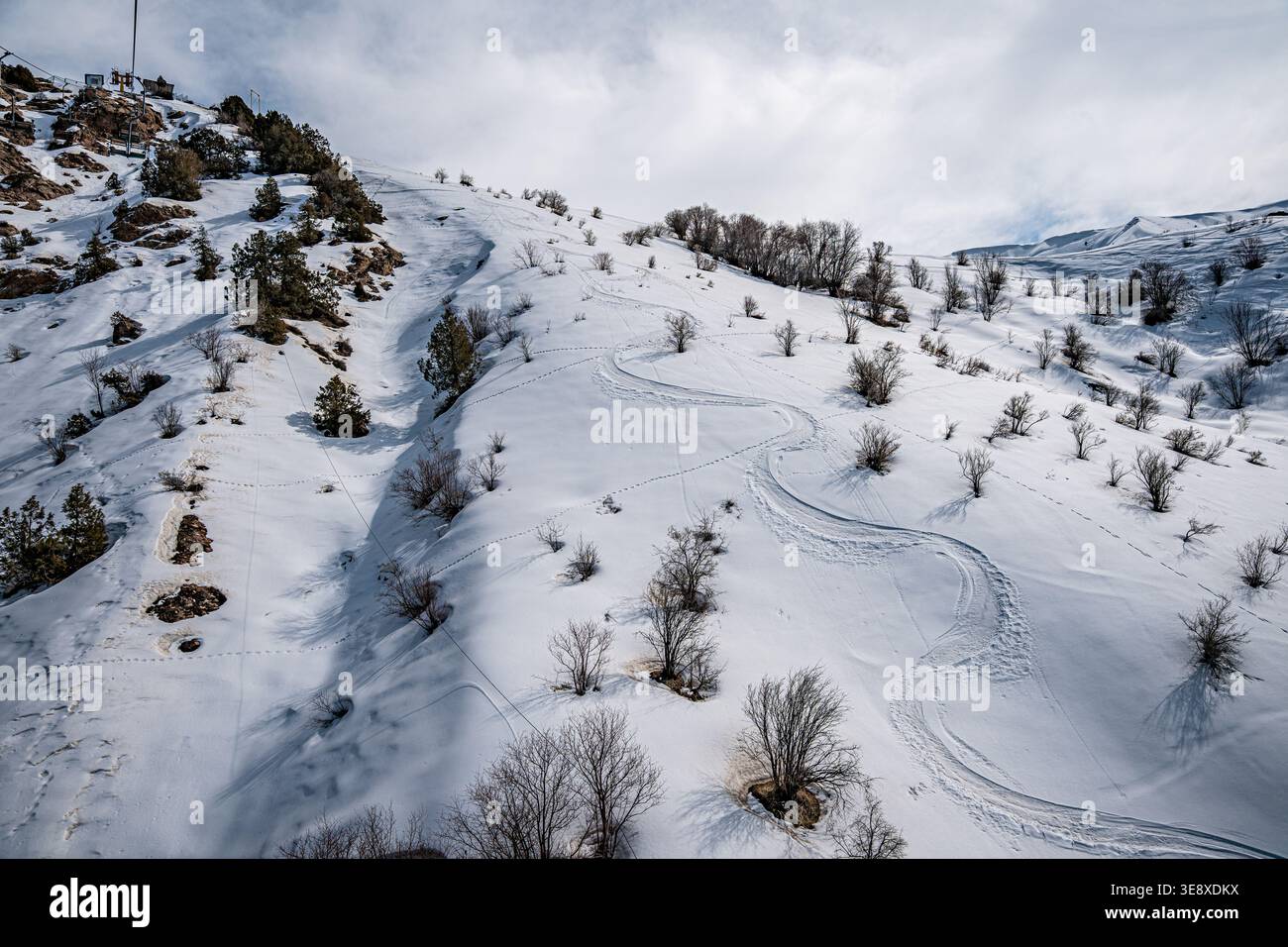 Una vista panoramica di una collina innevata con piste da sci e alberi sparsi. Le morbide curve delle piste creano un'atmosfera invernale tranquilla. Foto Stock