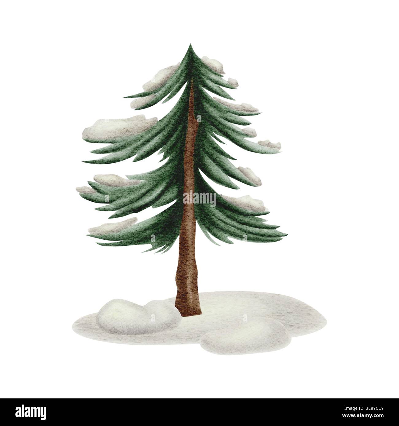 Immagine ad acquerello di un abete innevato con aghi verdi e un tronco marrone su uno sfondo bianco di neve. Questa illustrazione dettagliata Foto Stock
