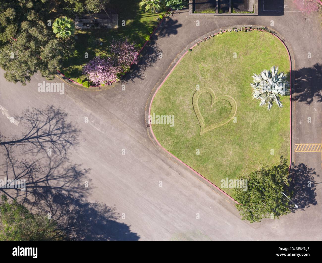 Vista aerea di un prato a forma di cuore circondato da alberi con fiori rosa e sentieri lastricati a Taiwan. Foto Stock