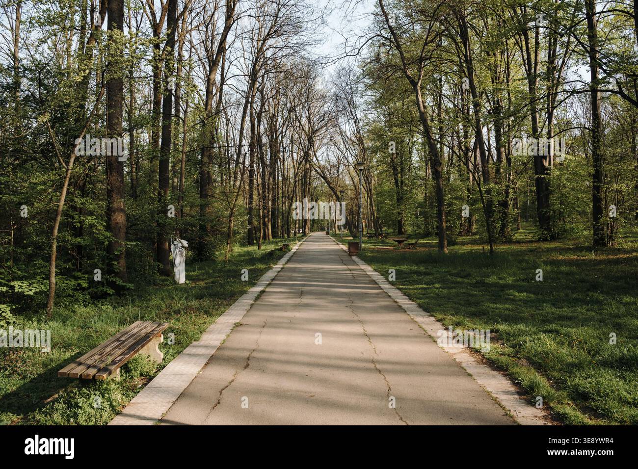 Viale del parco vuoto con panchina e alberi alla luce soffusa. Concetto di relax, natura urbana e ambiente all'aperto tranquillo. Foto Stock