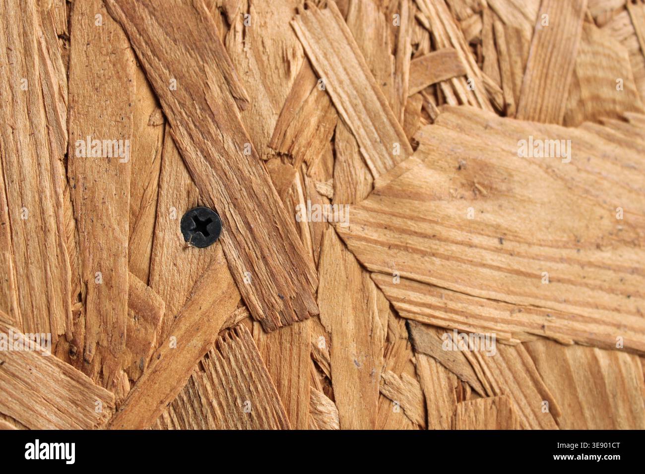 Una vista ravvicinata mostra una superficie della scheda trefolo orientata con fili visibili di legno e una vite nera incorporata in essa. L'impostazione indica un costrutto Foto Stock
