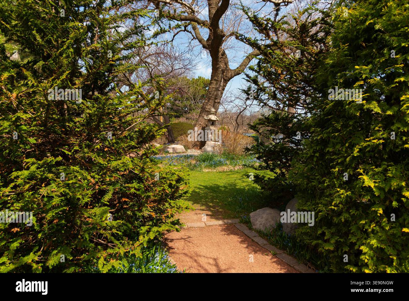 Percorso e paesaggio all'Osaka Garden in uno splendido pomeriggio primaverile a Chicago, Illinois, Stati Uniti. Foto Stock