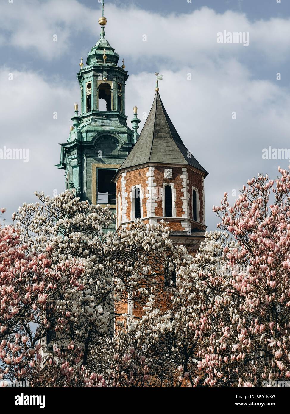 Le torri del Castello reale di Wawel con fiori di magnolia in fiore, vista classica Foto Stock